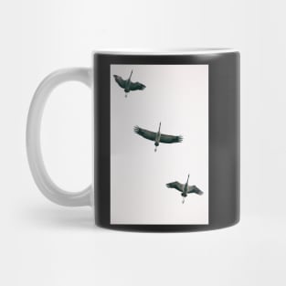 Three Common Cranes Flying in Midair From Below Mug